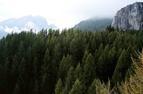 Laste - Rocca Pietore