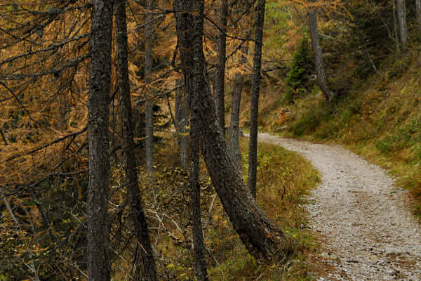 rifugio O.Falier all'Ombretta, Marmolada Dolomiti