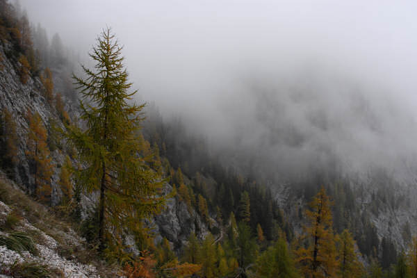 rifugio O.Falier all'Ombretta, Marmolada Dolomiti