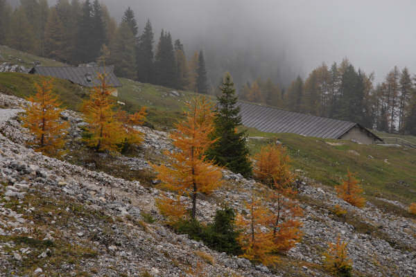 rifugio O.Falier all'Ombretta, Marmolada Dolomiti