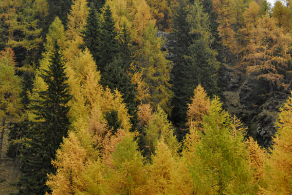 rifugio O.Falier all'Ombretta, Marmolada Dolomiti