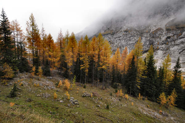 rifugio O.Falier all'Ombretta, Marmolada Dolomiti