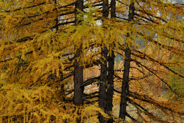 rifugio O.Falier all'Ombretta, Marmolada Dolomiti