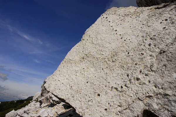 impronte di Dinosauri nel masso di frana al Pelmetto