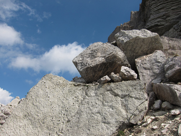 impronte di Dinosauri nel masso di frana al Pelmetto, Pelmo f.lla Staulanza