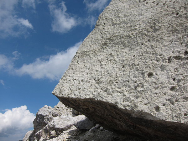 impronte di Dinosauri nel masso di frana al Pelmetto, Pelmo f.lla Staulanza