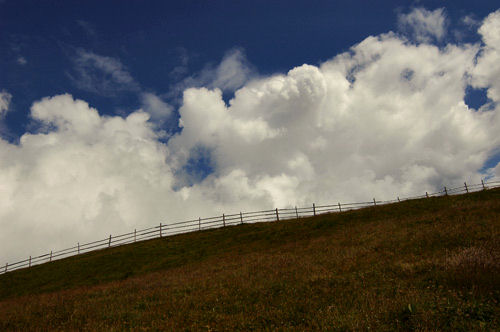 i prati presso il rifugio Genova