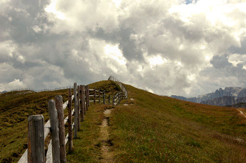 i prati presso il rifugio Genova