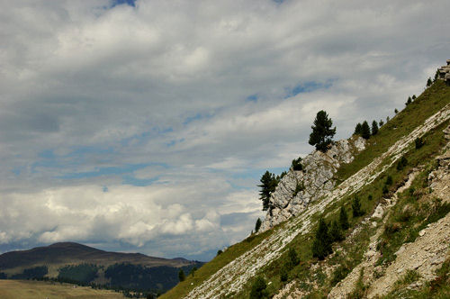 prati presso il passo delle Erbe