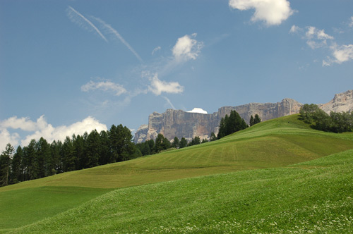 prati al Sasso della Croce
