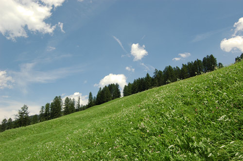 prati al Sasso della Croce