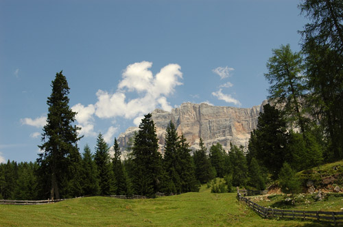 prati al Sasso della Croce