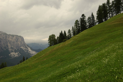 prati al Sasso della Croce