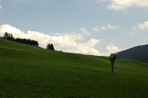 prati al Sasso della Croce
