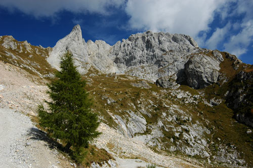 rifugio Calvi Chiadenis