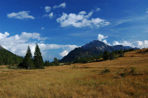 prati alle sorgenti del Piave