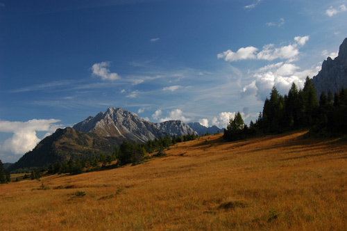 prati alle sorgenti del Piave
