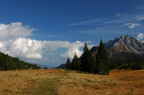 prati alle sorgenti del Piave