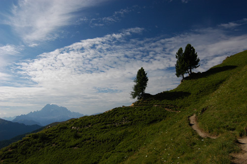 Col di Lana - prati di Gerda