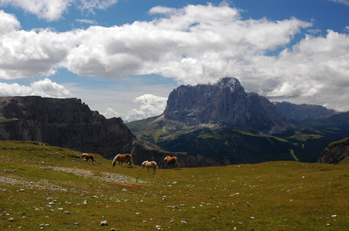 Sasso Lungo - Puez, Dolomiti