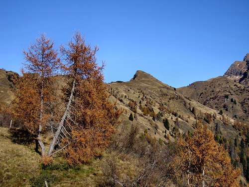 Cime di Pape, Val San Lucano, Taibon Agordino, Gares