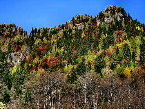 Cime di Pape, Val San Lucano, Taibon Agordino, Gares