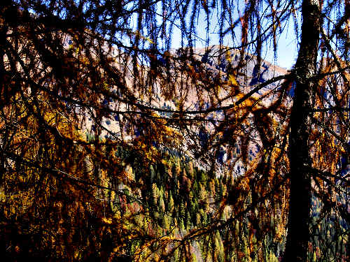 Cime di Pape, Val San Lucano, Taibon Agordino, Gares