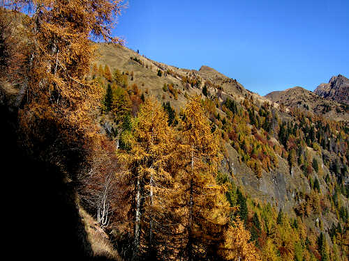 Cime di Pape, Val San Lucano, Taibon Agordino, Gares