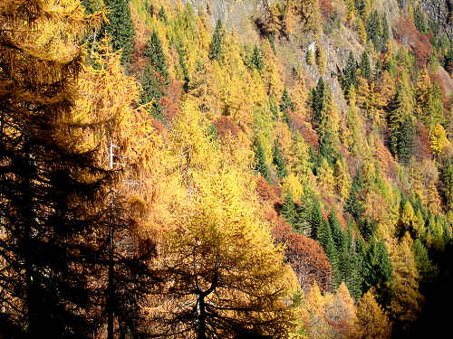 Cime di Pape, Val San Lucano, Taibon Agordino, Gares