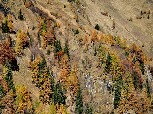 Cime di Pape, Val San Lucano, Taibon Agordino, Gares