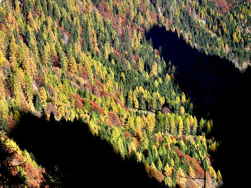 Cime di Pape, Val San Lucano, Taibon Agordino, Gares