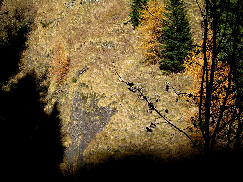 Cime di Pape, Val San Lucano, Taibon Agordino, Gares