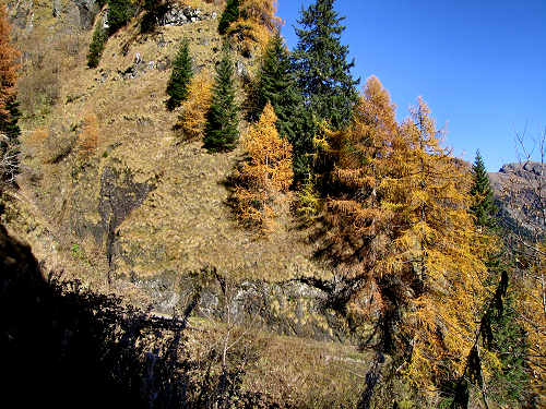 Forcella Cesurette, Casera Campigat, Col di Pra - Gares
