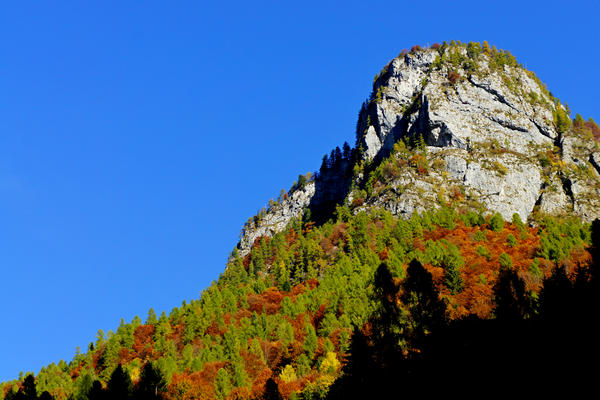 salita in mtb a forcella Cesurette Casera Campigat, da Taibon Valle San Lucano Col di Pra a Gares Canale d'Agordo