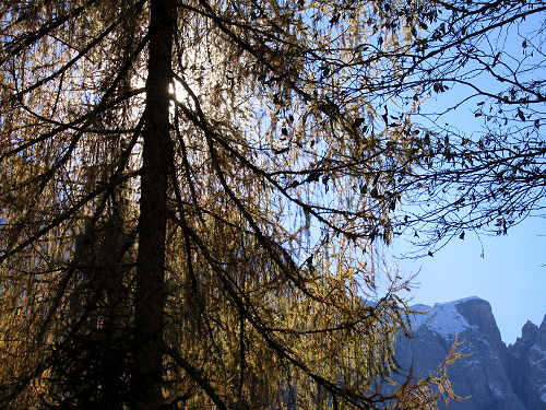 Pont, Col di Pra, Taibon Agordino - Valle San Lucano, Dolomiti