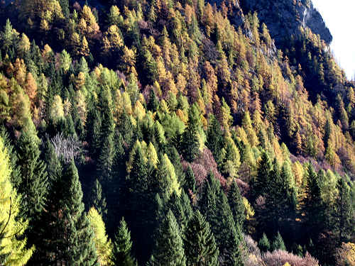Pont, Col di Pra - Valle San Lucano, Dolomiti