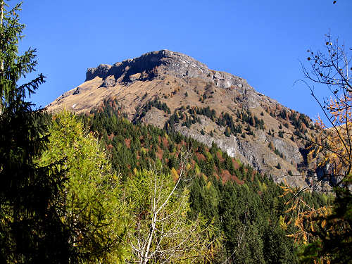 Pont, Col di Pra - Valle di San Lucano, Dolomiti