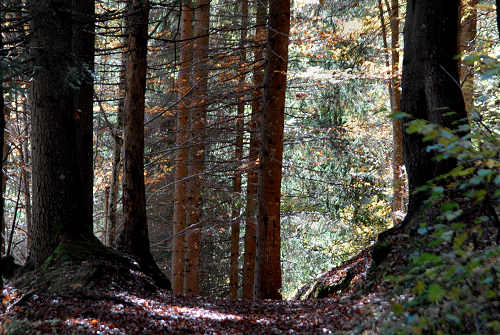 Col di Pra, Val San Lucano, Taibon Agordino