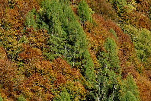 Col di Pra, Val San Lucano, Taibon Agordino