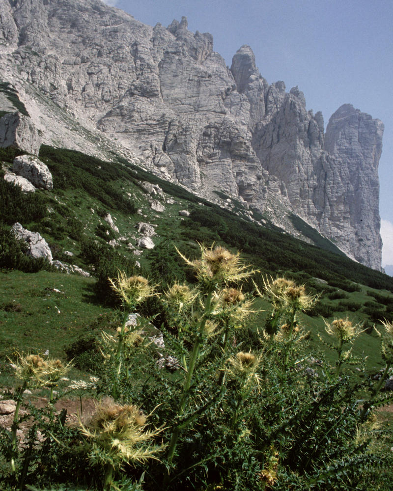 Altavia n.1 Dolomiti