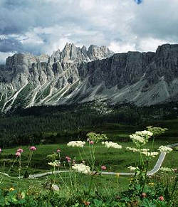 Croda da Lago - Giau