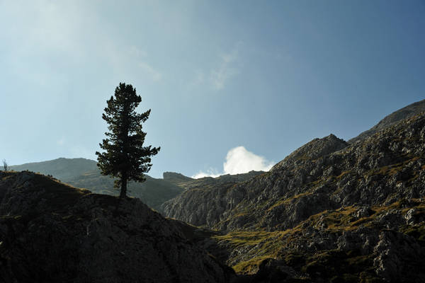 giro dei SetSass con salita a Cima SetSas, passo Valparola rifugio Pralongia