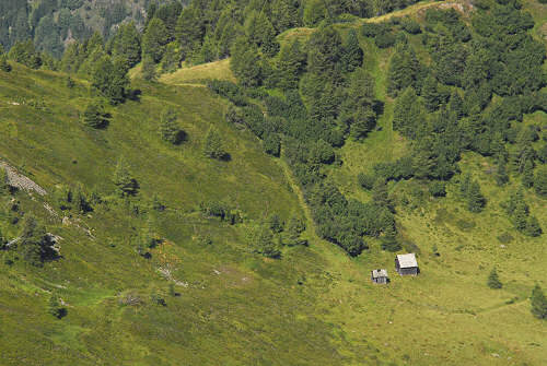 salita al monte Pore da Fedare, strada del passo Giau, Colle Santa Lucia