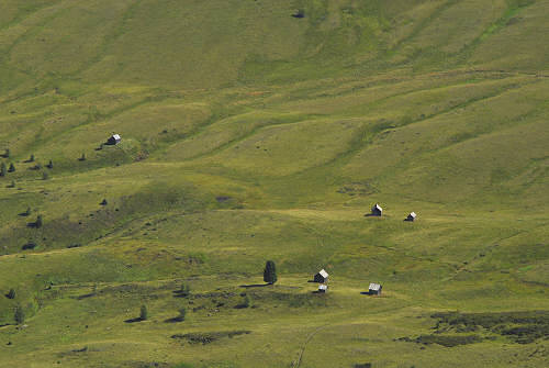 salita al monte Pore da Fedare, strada del passo Giau, Colle Santa Lucia