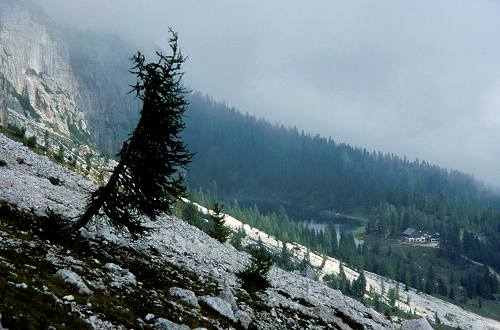 Mondeval Giau Croda da Lago Lastoi de Formin Ambrizola
