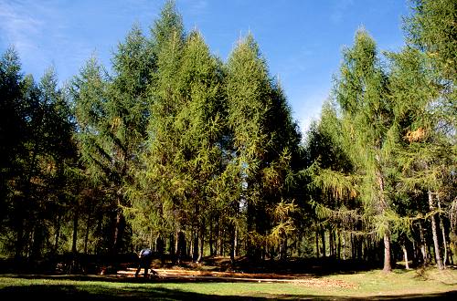 Laste - Rocca Pietore