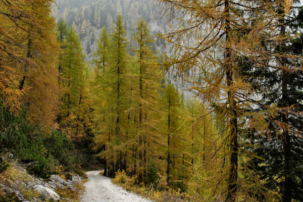 rifugio O.Falier all'Ombretta, Marmolada Dolomiti