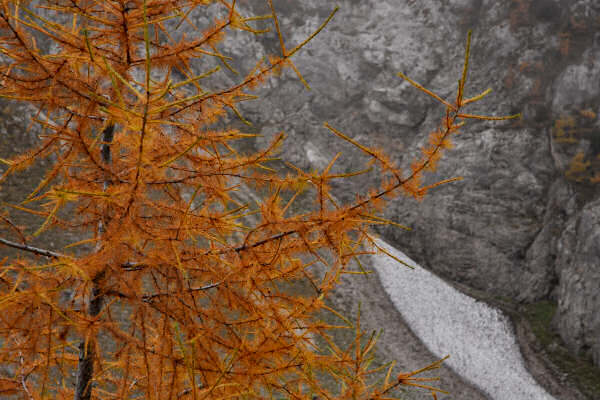 rifugio O.Falier all'Ombretta, Marmolada Dolomiti