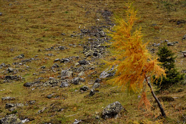 rifugio O.Falier all'Ombretta, Marmolada Dolomiti