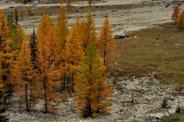 rifugio O.Falier all'Ombretta, Marmolada Dolomiti